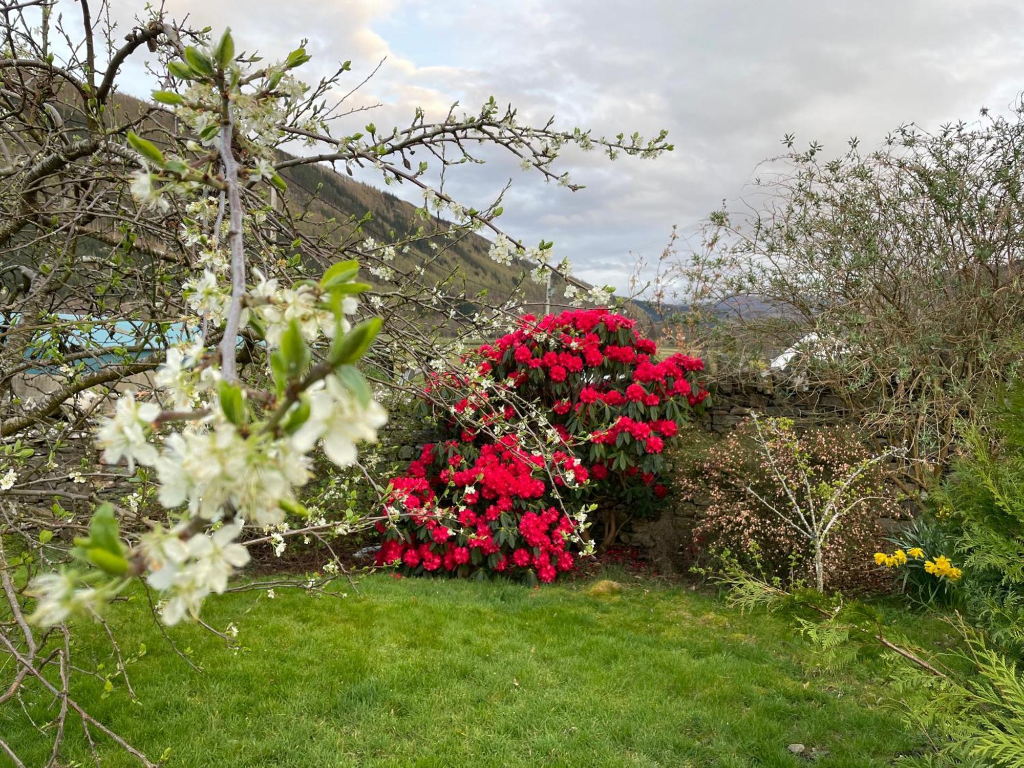 Clachan Garden B&B Garve Exterior foto